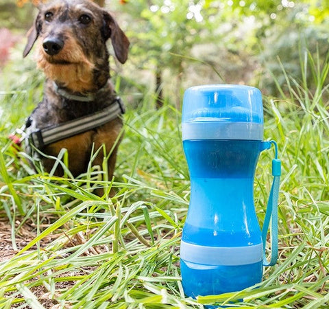 2-IN-1 Pet Bottle