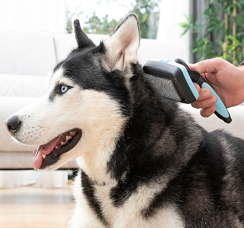 Pets Cleaning Brush