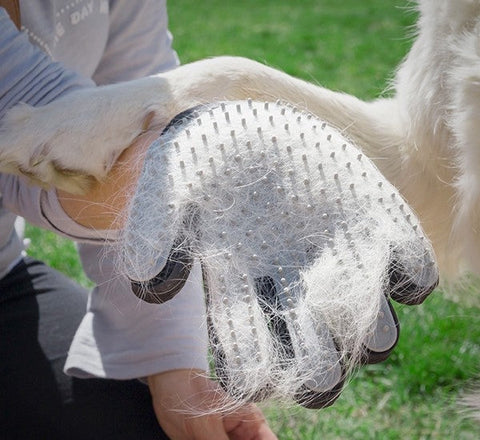 Brush & Massage Glove For Pet