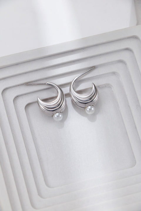 Silver Moon Hook Earrings